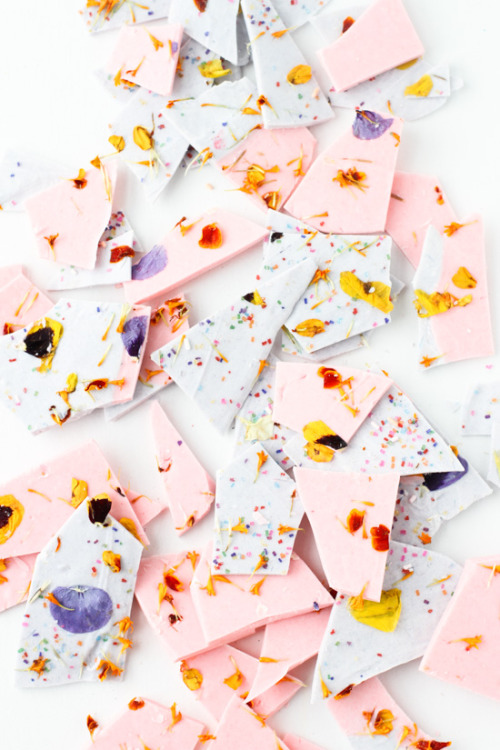Color Blocked Chocolate Bark with Edible Flower SprinklesSource
